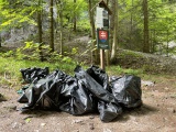 Environmentálny deň