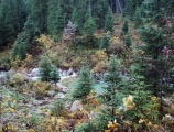 Vysoké Tatry