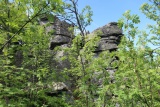 Vtáčnik (1346 m.n.m.)