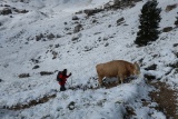 Dolomity
