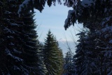 Pilsko