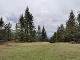 Skorušiná