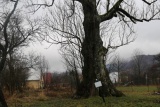 Strážov