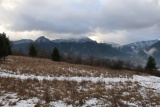 Pupov