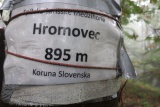 Hromovec