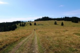 Panská hoľa