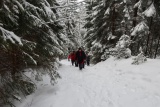 Veľká turistika na Veľký Choč 1611 m.n.m.