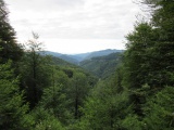 Krížna (1 574 m n. m.) 