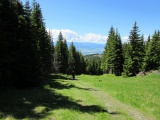 Sivý vrch 1 805 m.n.m.