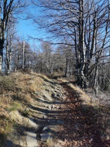 Veľká Rača