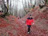 Súľovské skaly