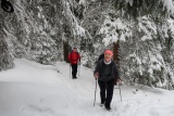 Veľká turistika na Veľký Choč 1611 m.n.m.