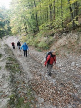 Považský Inovec