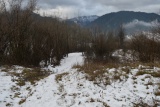 Pupov